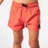 Offset Volley Boardshort (Boys 2-7)(Rip Curl Offset Volley Boardshort Boys 2 7 Sp25)