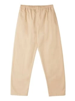Easy Twill Pants(Obey Easy Twill Pants Ho24)