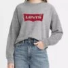 Standard Graphic Crewneck Sweatshirt(Levis Standard Graphic Crewneck Sweatshirt 0014 Women Co)