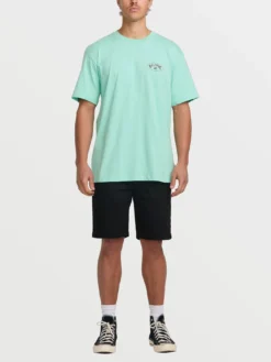 Orbit Arch Premium T-Shirt(Billabong Orbit Arch Premium T Shirt Sp25) -ThinkEmpire Shop 24A351502 BDA OM FB