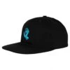 Screaming Hand Snapback Hat(Santa Cruz Screaming Hand Snapback Hat Fa25)