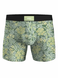 Basic Wallpaper Classic Boxers(Undz Basic Wallpaper Classic Boxers Ho24)