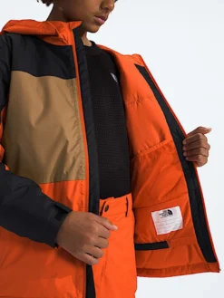 Freedom Insulated Jacket (Youth)(The North Face Freedom Insulated Jacket Youth Wt25) -ThinkEmpire Shop Boys Freedom Insulated Jacket