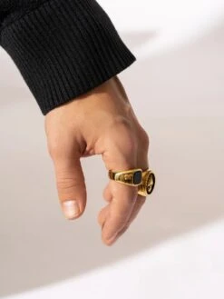 Gentlemen Gold Ring(Sarahsilver Gentlment Gold Ring) -ThinkEmpire Shop CAR06742 01da518d 70c6 4d30 b622