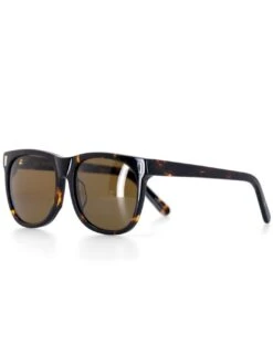 Day Tripper Brown Tortoise Sunglasses(Ashbury Day Tripper Brown Tortoise Sunglasses Su24)