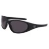 The Box 2 Polarized Matte Black/LL Smoke Sunglasses(Dragon The Box 2 Polarized Sunglasses Matte Black Ll Smoke)