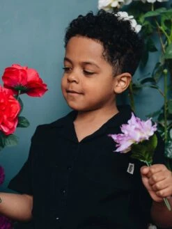 Cape Cod Short Sleeve Buttondown Shirt (Boys 2-7)(Headster Cape Cod Short Sleeve Buttondown Shirt Boys 2 7 Sp25) -ThinkEmpire Shop DSC 7488 2000x af4d46fa faca 4945 a030 322bf766244a