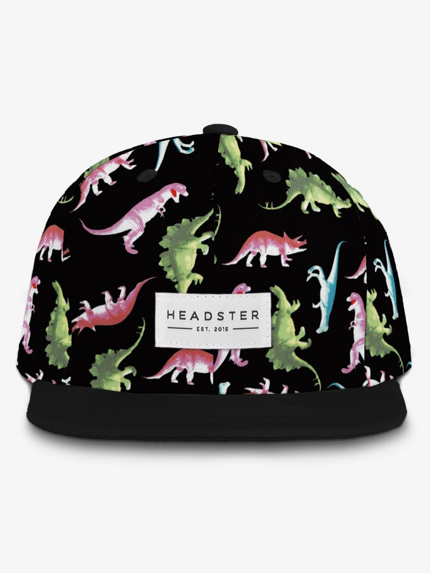 Dino Snapback Hat (Kids)(Headster Dino Snapback Hat Sp25) 2 Dino Snapback Hat (Kids)(Headster Dino Snapback Hat Sp25) - Image 2