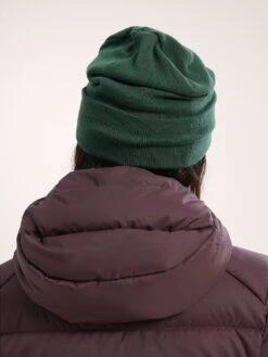 Word Beanie(Arcteryx Word Beanie Wt25) -ThinkEmpire Shop F24 X000005254 Word Toque Eden B2