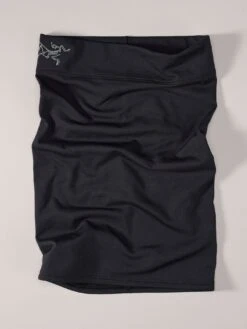 Rho Long Neckwarmer(Arcteryx Rho Long Neckwarmer Wt26)