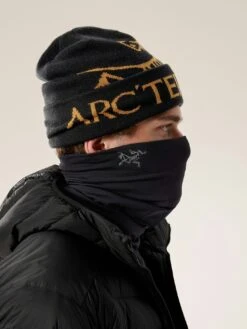 Rho Long Neckwarmer(Arcteryx Rho Long Neckwarmer Wt26) -ThinkEmpire Shop F25 X000007228 Rho Synthetic Nec4