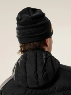 Bird Word Beanie(Arcteryx Bird Word Beanie Wt26) -ThinkEmpire Shop F25 X000010065 Bird Word Toque 23