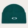 Ellipse Ribbed Beanie(Oakley Ellipse Ribbed Beanie Wt24)