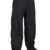 Freedom Boss Snow Pants(Airblaster Freedom Boss Snowboard Pants Wome Wt25)