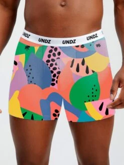 Fruitz Bamboo Boxers(Undz Fruitz Bamboo Boxers Ho24)