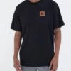 Pina Express T-Shirt(Hurley Pina Express T Shirt Sp25)