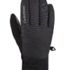 Impreza GORE-TEX Gloves(Dakine Impreza Gore Tex Gloves Wt25)