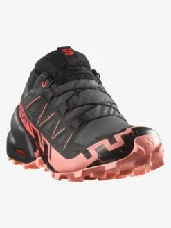 Speedcross 6 Gtx Nine Iron/Black/Flamingo Pink Shoes(Salomon Speedcross 6 Gtx Nine Iron Black Flamingo Pink Shoes Women Fa25) -ThinkEmpire Shop L47880400 ef70dd65aff8cde978fd73324
