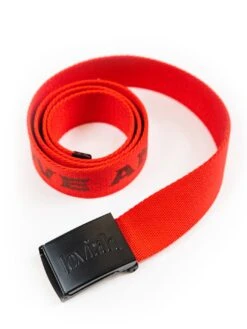 Webbing Belt(Loviah Webbing Belt C O)