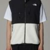 Retro Denali Vest(The North Face Retro Denali Vest Sp25)