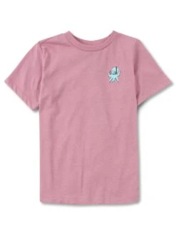 Resource T-Shirt (Boys 2-7)(Northcoast Resource T Shirt Boys 2 7 Su25) -ThinkEmpire Shop NCBEKB04718 HTR DUSTY MAUVE 5 FR