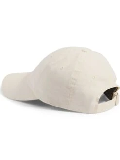Norm Strapback Hat(The North Face Norm Strapback Hat Co) -ThinkEmpire Shop NF0A3SH3 11P back