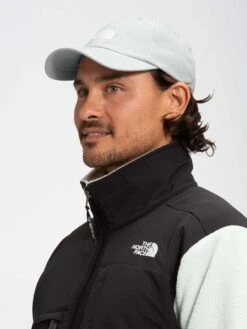 Norm Strapback Hat(The North Face Norm Strapback Hat Co) -ThinkEmpire Shop NF0A3SH3 9B8 alt1