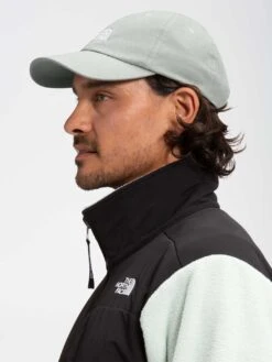 Norm Strapback Hat(The North Face Norm Strapback Hat Co) -ThinkEmpire Shop NF0A3SH3 HDF alt1