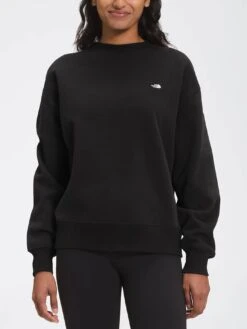 City Standard Crewneck Sweatshirt(The North Face City Standard Crewneck Sweatshirt Women Co)