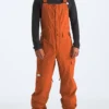 Freedom Overall(The North Face Freedom Overall Wt25)
