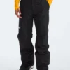 Freedom Insulated Snow Pants(The North Face Freedom Insulated Overall Wt25)