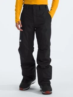 Freedom Insulated Snow Pants(The North Face Freedom Insulated Overall Wt25)