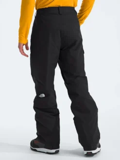 Freedom Insulated Snow Pants(The North Face Freedom Insulated Overall Wt25) -ThinkEmpire Shop NF0A5ABU4H0 in TNF Black 1