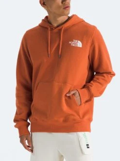 Box NSE Hoodie(The North Face Box Nse Hoodie Sp25)