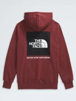 Box NSE Hoodie(The North Face Box Nse Hoodie Women Sp25) -ThinkEmpire Shop NF0A7UON0VO 4