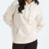 Box NSE Hoodie(The North Face Box Nse Hoodie Women Sp25)