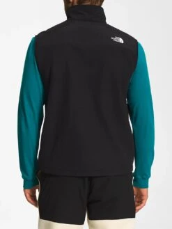 Denali Vest(The North Face Denali Vest Co) 5 Denali Vest(The North Face Denali Vest Co) -ThinkEmpire Shop NF0A7UR4 JK3 back 18f5720f ff3a 49bc 8b46 8153af7b3de3