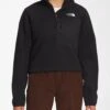 Denali 1/4 Zip Polar Fleece(The North Face Denali 1 4 Zip Polar Fleece Women Co)