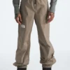 Build Up Snow Pants(The North Face Build Up Snowboard Pants Wt25)