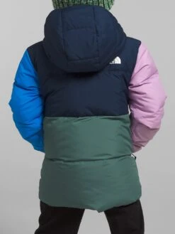 Down Hooded Jacket (Youth 2-7)(The North Face Down Hooded Jacket Little Kids Co) -ThinkEmpire Shop NF0A82YL 8K2 back