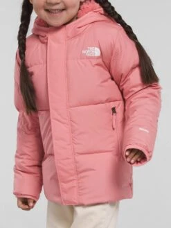 Down Hooded Jacket (Youth 2-7)(The North Face Down Hooded Jacket Little Kids Co) -ThinkEmpire Shop NF0A82YL I0R hero