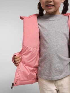 Down Hooded Jacket (Youth 2-7)(The North Face Down Hooded Jacket Little Kids Co) -ThinkEmpire Shop NF0A82YL I0R int