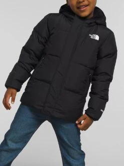 Down Hooded Jacket (Youth 2-7)(The North Face Down Hooded Jacket Little Kids Co)
