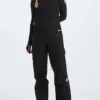 GORE-TEX Summit Verbier Overall (Women)(The North Face Gore Tex Summit Verbier Overall Wt25)
