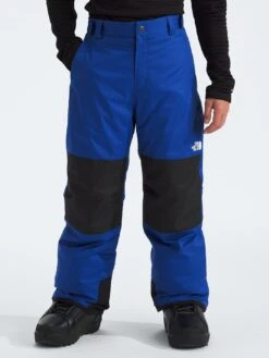 Freedom Insulated Pants (Youth 7-14)(The North Face Freedom Insulated Pants Boys 7 14 Wt25) -ThinkEmpire Shop NF0A88TYCZ6 in TNF Blue