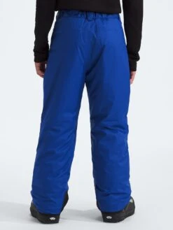 Freedom Insulated Pants (Youth 7-14)(The North Face Freedom Insulated Pants Boys 7 14 Wt25) -ThinkEmpire Shop NF0A88TYCZ6 in TNF Blue 1