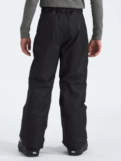 Freedom Insulated Pants (Youth 7-14)(The North Face Freedom Insulated Pants Boys 7 14 Wt25) -ThinkEmpire Shop NF0A88TYJK3 in TNF Noir 1