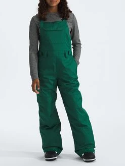Freedom Insulated Overall (Youth)(The North Face Freedom Insulated Overall Youth Wt25) -ThinkEmpire Shop NF0A88UZNL1 in Evergreen