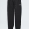 Camp Fleece Jogger Pants (Kids 7-14)(The North Face Camp Fleece Jogger Pants Kids 7 14 Co)