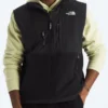 Retro Denali Vest(The North Face Retro Denali Vest Co)